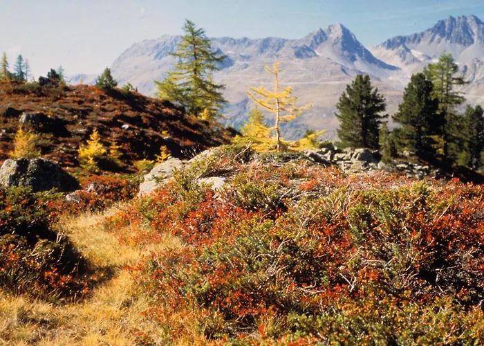 Tschatscha Nova Kappl (Landeck)